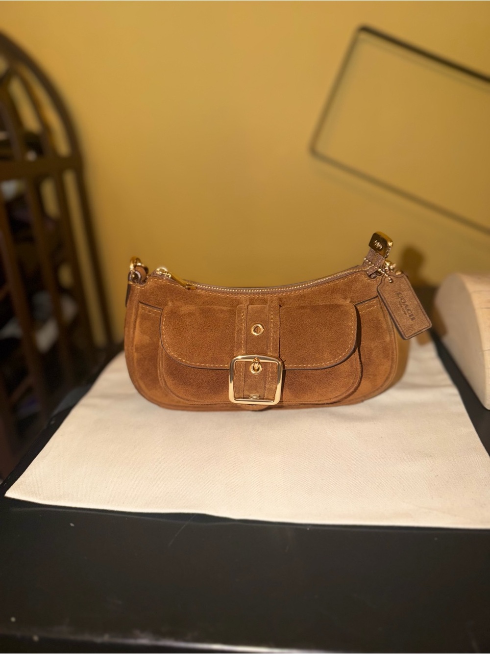 Coach Mini Ashton Suede Crossbody CFA50 NWT - Picture 6 of 11